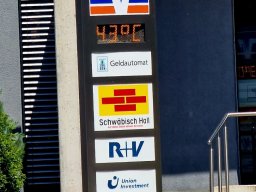 Mainschwimmen Juni 2026